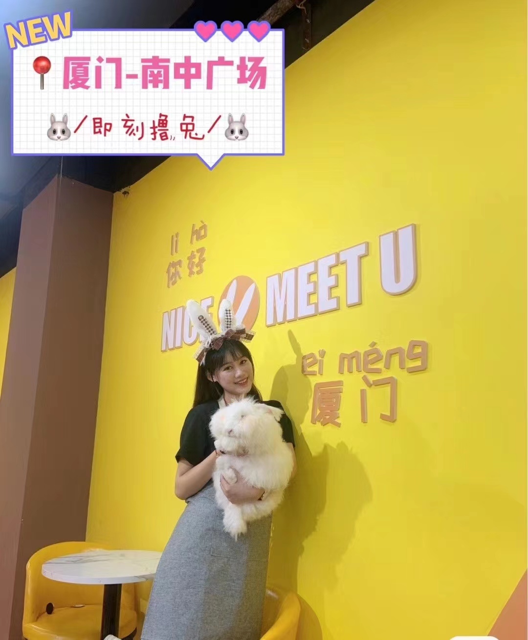 長毛兔品種“全家福”，看懂這幾點少花冤枉錢